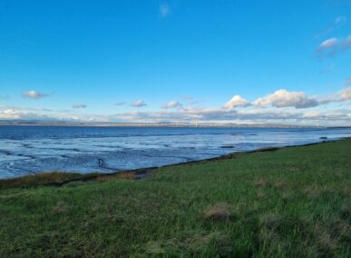 Surveying Avonmouth